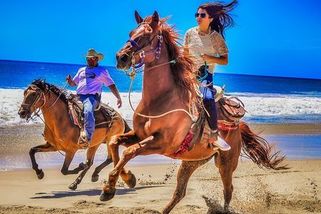 Migriño Beach Horseback Riding Experience