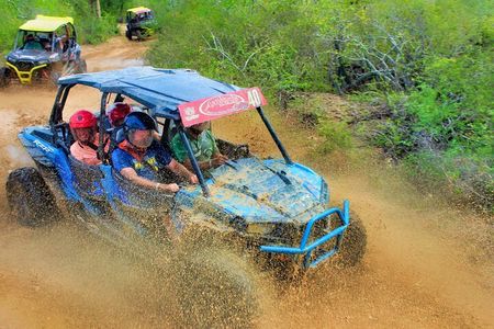 Half-day Wild Desert Polaris Razor UTV Tour