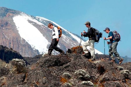 Kilimanjaro day hike on the Shira Plateau from / to Moshi
