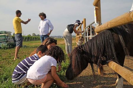 Biodynamic Farm and Natural Wines Tasting in Lazise