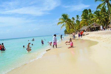 Private Full-Day Tour to Saona Island from Bayahibe with Lunch