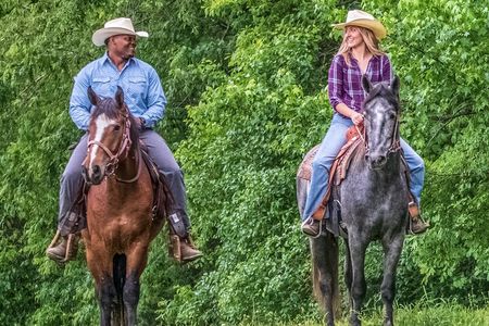 Private Sunset Horse Ride in Memphis