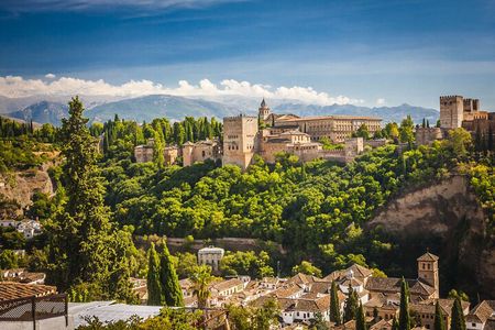 Alhambra : Guided Tour & Ticket Nasrid Palaces Guaranteed