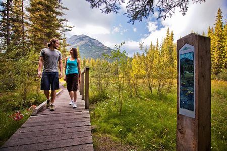 Banff LOST TOWNS and Untold Stories! 1.5hr Walk + Transportation