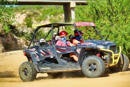 Beach and Desert UTV with Horseback Riding Experience