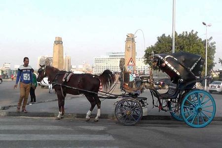 Cairo by Night: Traditional Horse Carriage Ride & City Tour