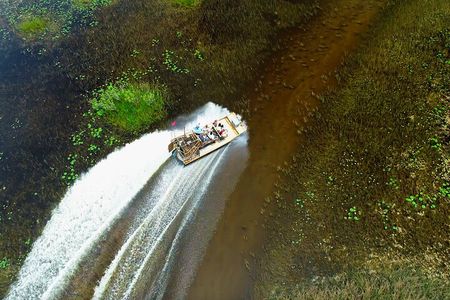 Airboat Everglades Tour