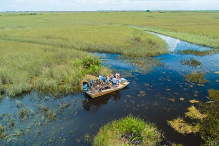 Airboat Everglades Tour