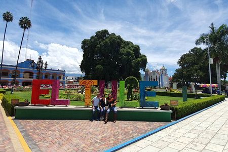 Full-Day El Tule, Mitla & Hierve el Agua Tour from Oaxaca