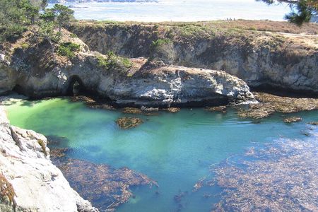 Guided 2-Hour Point Lobos Nature Walk
