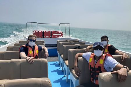 Private Tour to spot Sea Lions in Palomino Islands From Lima