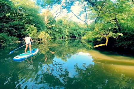 Scenic Paddleboarding Adventure: Nové Mlýny to Lednice