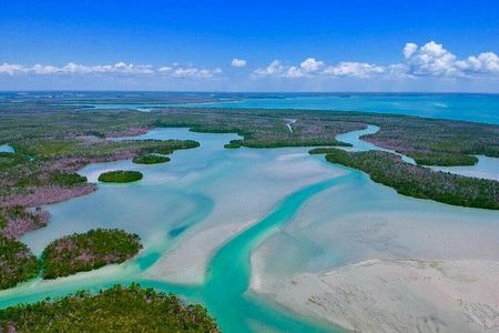 Private Wildlife and Shelling Tour in Marco Island