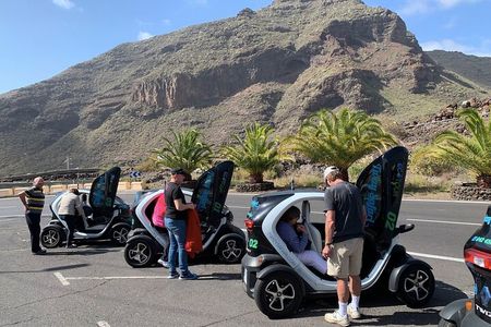 4-Hour Eco Mountain Safari Tour with Electric Car in Tenerife