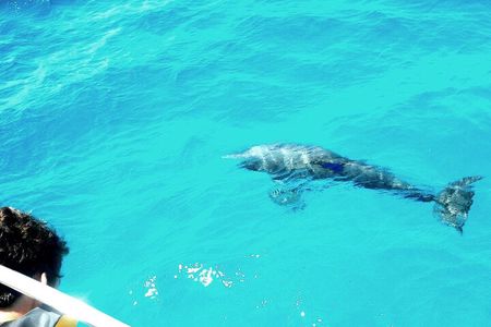 Private Sailing Tour of Pirate Waters and Shipwrecks