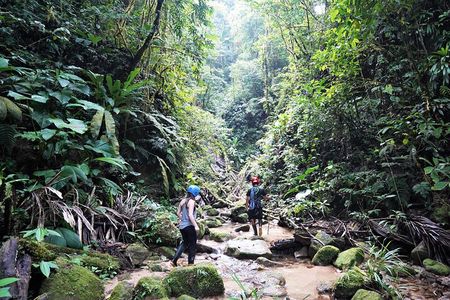 Private Active 4 Day Amazon Adventure 