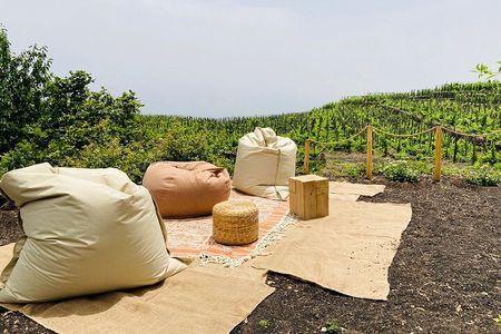 Private Wine and Food Tasting Immersed in Nature in Milo