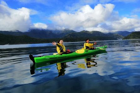 Full day Guided Sea Kayak Tour from Picton