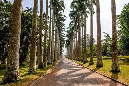 Aburi Botanic Gardens and Boti Falls Full-Day Private Tour