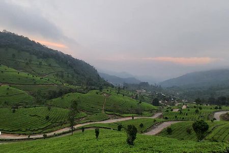 4 Nights Private Tour Cochin/Munnar/Thekkady/Houseboat-Sanguine 