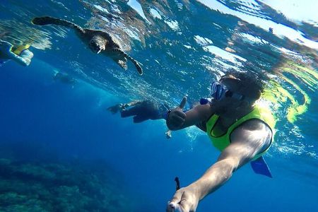 Snorkeling Tour in Caño Island with Lunch from Drake Bay