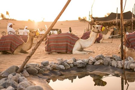 Dubai: Bedouin Culture Safari