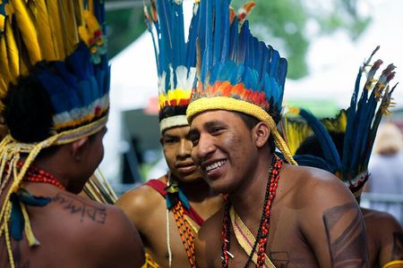 Itaguare Beach Private Tour with Indigenous Village from Santos