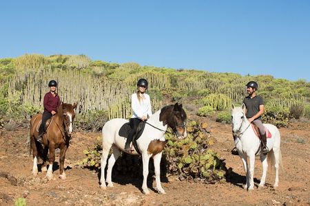 The Best Horse Riding Experience in Gran Canaria (2 hours)