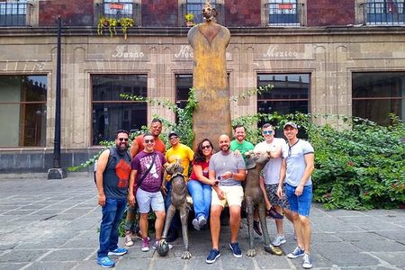 Mexico City: Gay Plazas