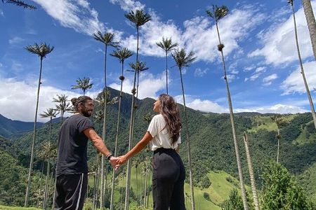 Cocora Valley Tour and Santa Rita Waterfall