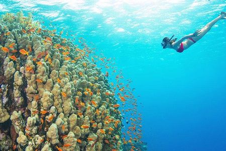 Scuba Diving Zanzibar Trip
