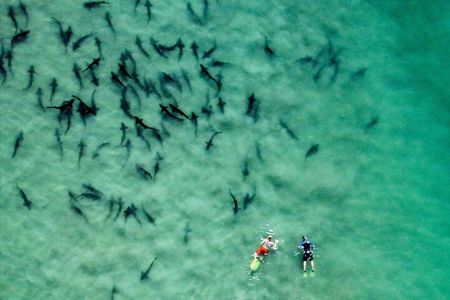 All Day Snorkel Package with Wetsuit Rental