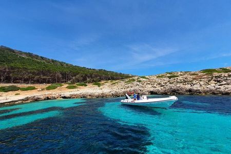 Dinghy excursion to the Egadi Islands with tasting on board