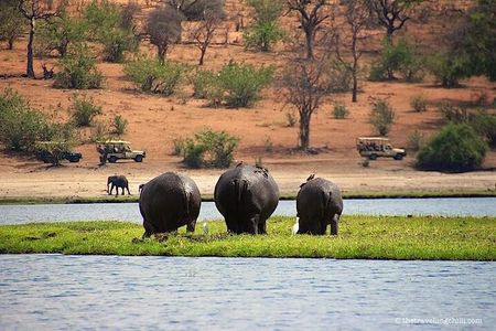 Livingstone to South Luangua National Park package