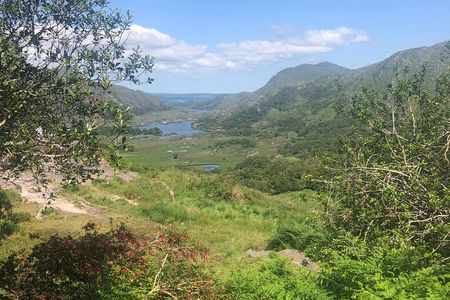 Private Guided Tour of Ireland 