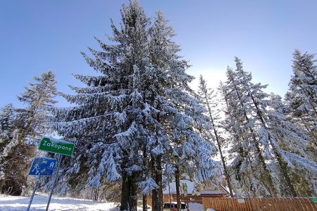From Krakow: Zakopane & Chocholowskie Thermal Baths