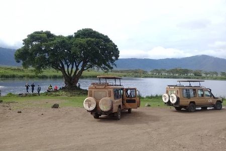 7 Days Tanzania Mid-range lodge safari