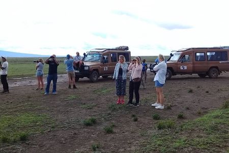 6 Days Tanzania Wildlife Camping Safari