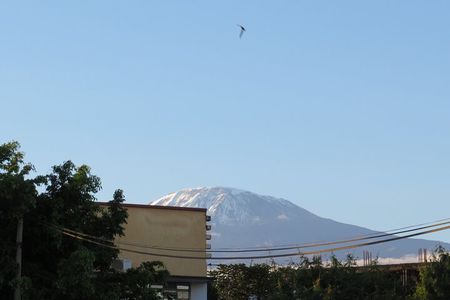 Day Trip to Kilimanjaro National Park