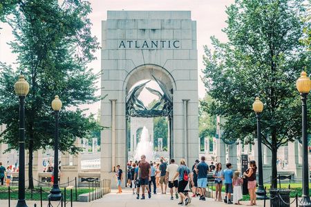 Cherry Blossom DC Tour with 10+ Stops and Optional Tickets