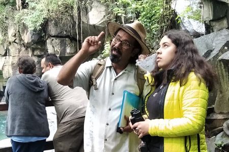 Bird Observation in the National Park of Uruapan.