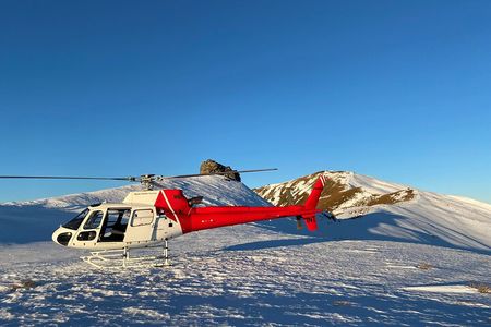 30-Minute Alpine Scenic Flight from Queenstown