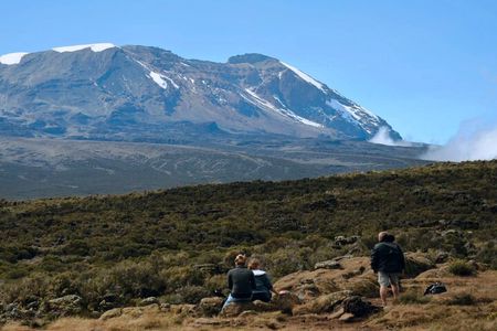 Kilimanjaro Day Hike : Shira Plateau to Cathedral Point (3,870m)