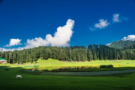 Himachal Tour Package