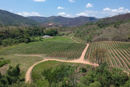 Full-Day Winery Tour from Rio