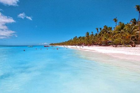Full-Day Tour to Saona Island from Bayahibe with Lunch