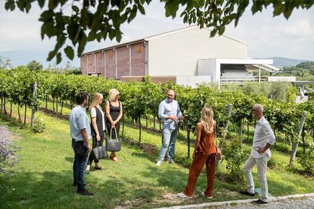 Tour and Tasting of Organic Wines in Lazise