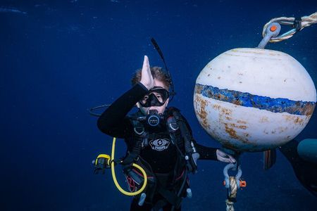 Small-Group Shark and Turtle Dive for Certified Divers