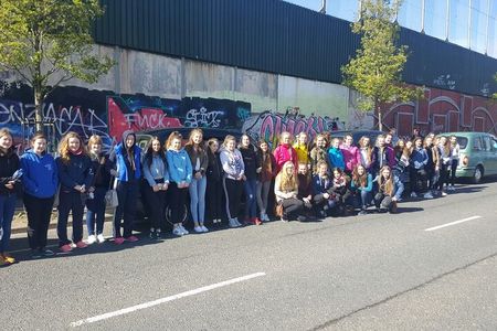 Express Terror and Peace 90 min Private Belfast Cab /Taxi Tour