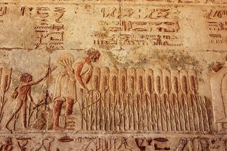 Private Day Tour to El Minya Egypt 